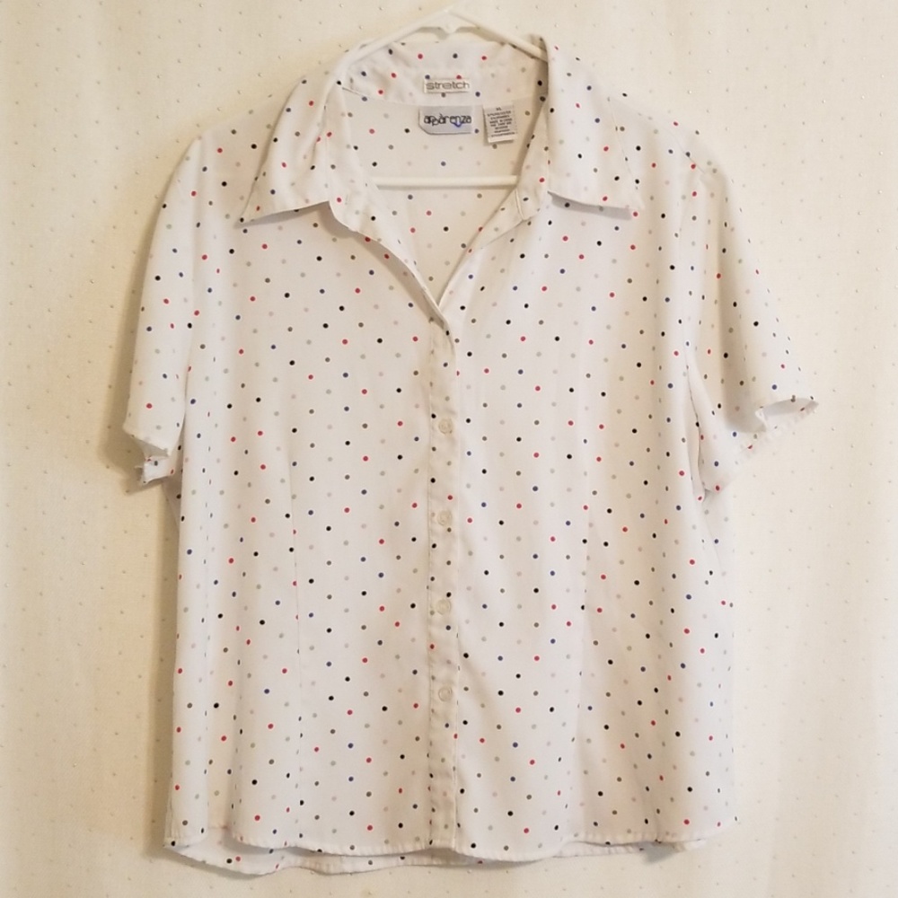 Vintage Polka Dot Blouse